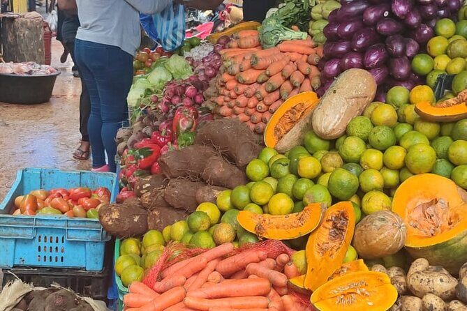 Half-day City tour cultural from punta cana for small group - Key Highlights Worth Planning For
