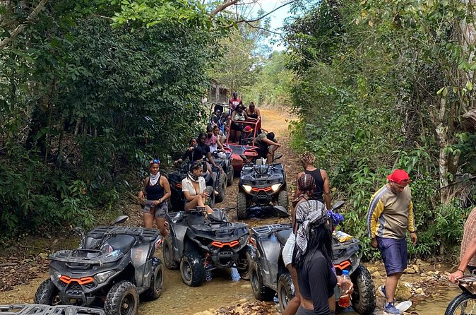 Half Day Comatillo Off-Road Experience - Price and what’s included: where $135 makes sense