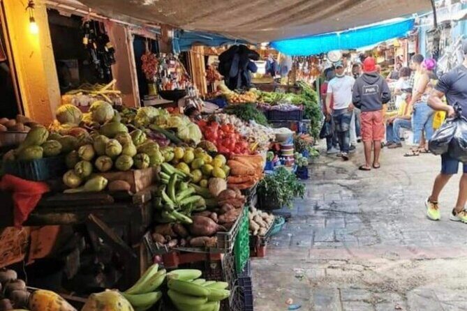 Half-day Cultural Tour in the City of Higüey - Typical Dominican house visit (and what you should watch for)