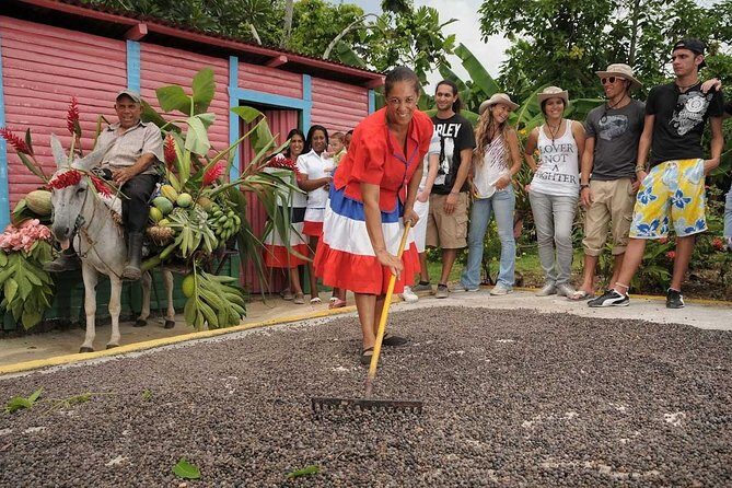 Half-Day Dominican Republic Safari Tour from Punta Cana - Higuey Town for Real Culture: School, Home Visits, and Daily Life