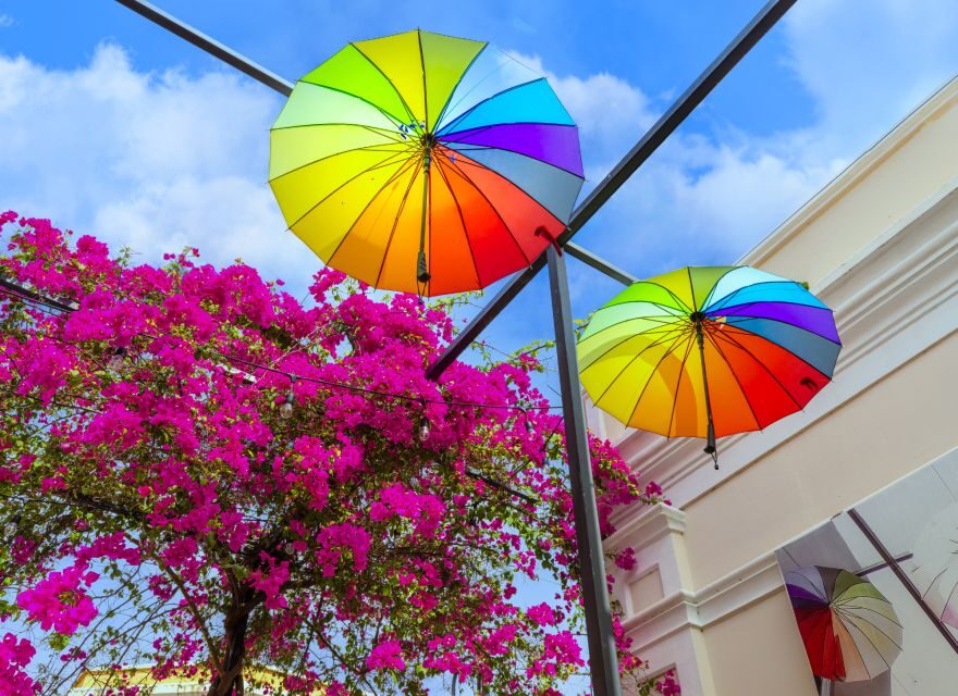 Half Day Private City Tour of Puerto Plata - Macorix House of Rum: what you’ll learn in a short stop