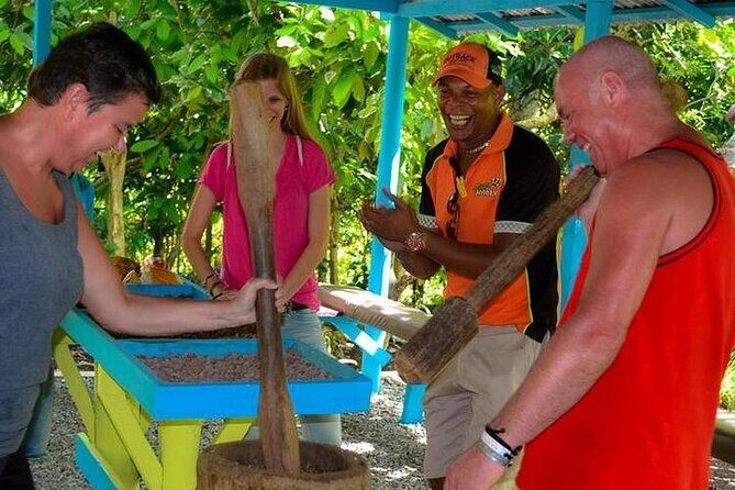 Half Day Punta Cana City Tour - Pueblo Bavaro Break: Coconut Water and Sugarcane Juice Time