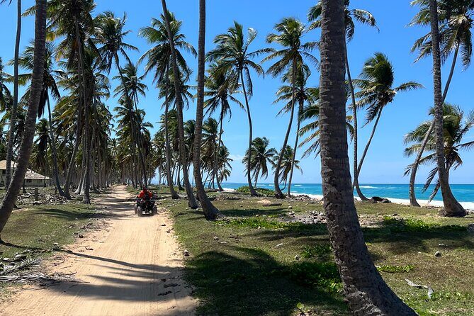 Half Day Safari and ATV or horses from Punta Cana - Quick Highlights