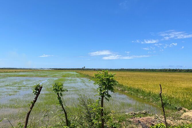 Half Day Safari and ATV or horses from Punta Cana - Price and value: is $116 for 5 hours a fair deal?