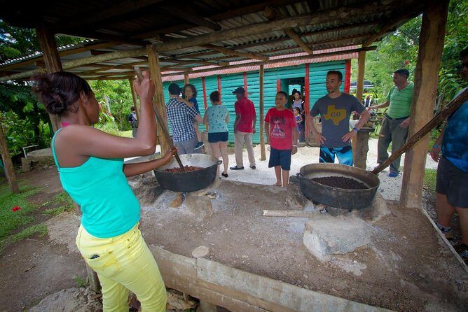 Half Day Safari Tour of Punta Cana - Price and What You Actually Get for $65