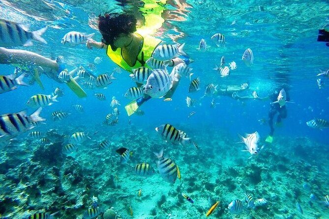 Half Day Sosua Sunset Cruise with Snorkeling - What’s included (and what you’ll need to handle yourself)