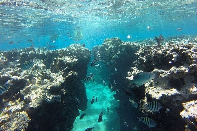 Half Day Sosua Sunset Cruise with Snorkeling - Should you book the Half Day Sosúa Sunset Cruise with Snorkeling?