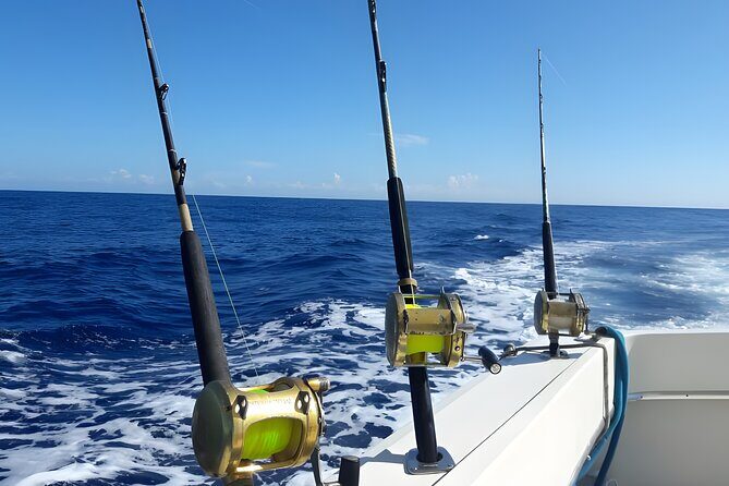 Half Day Sport Fishing Excursion Departing from Sosua - Price and Value: What $135 Gets You (and Why It Adds Up)