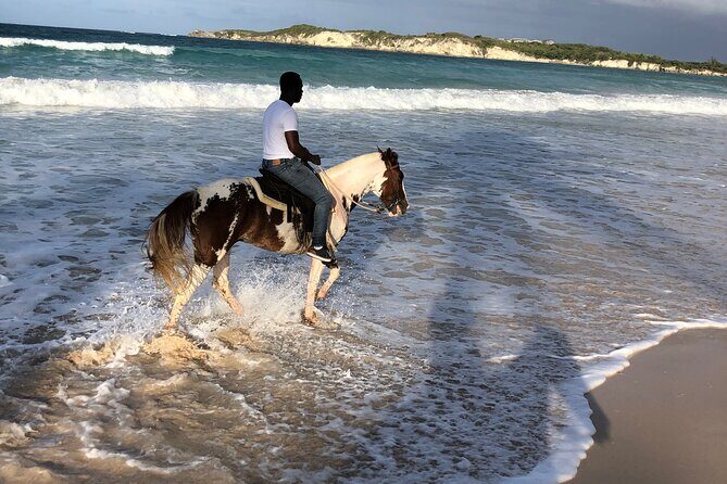 Half-Day Tour 2-in-1, Redonda Mountain & Horseback Riding Tour in Macao Beach - What’s included (and what you should plan for yourself)
