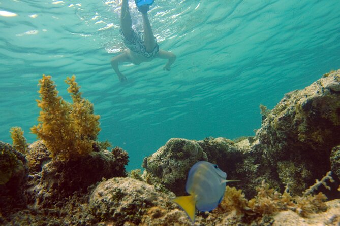 Happy Hour Party Boat With Snorkeling - Drinks, snacks, and the adults-only vibe