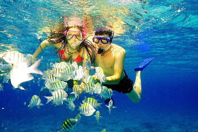 Happy Hour Party Boat With Snorkeling - Boarding the party boat: what “happy hour” looks like on the water