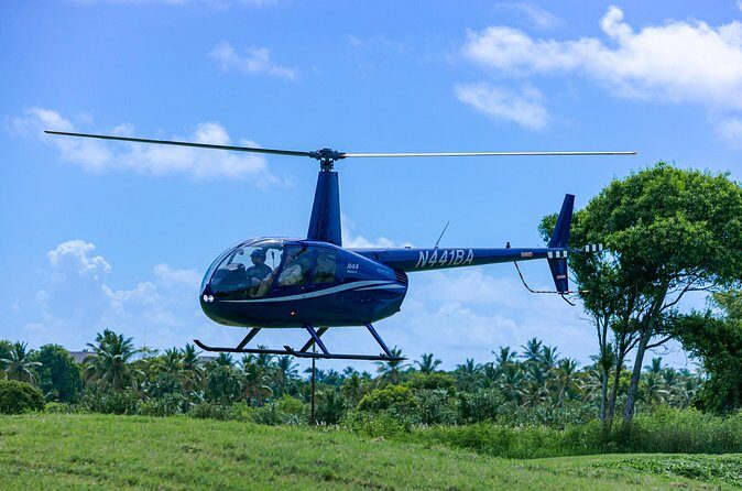 Helicopter tour of Punta Cana - Cabeza de Toro and aquariums: where dolphin spotting becomes possible