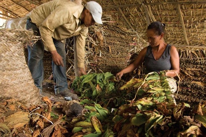 Higuey City Tour - A Cultural Experience From Punta Cana - San Dionisio and the panoramic view tied to Altagracia