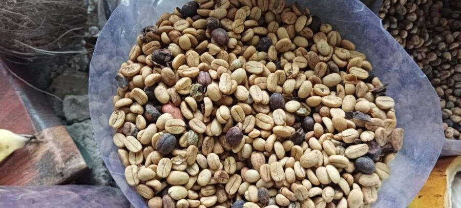Higuey discovery, coffee and cocoa tasting from punta cana - Key Things You’ll Notice on This Tour