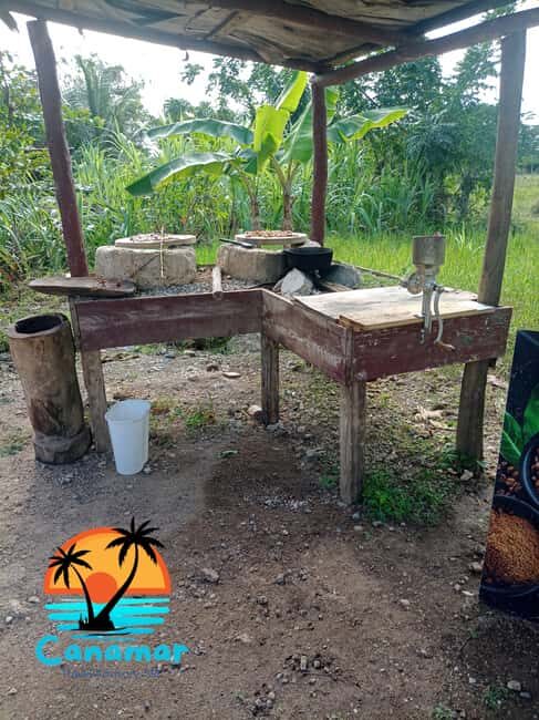 Higuey discovery, coffee and cocoa tasting from punta cana - Price and Value: Is $45 a Good Deal?