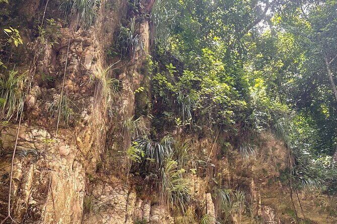 Hiking the 27 Waterfalls of Damajagua Tour from Santo Domingo - The drive is not wasted time: getting to know the Dominican Republic en route
