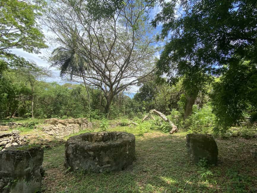 History of Slavery Guided Tour - Price and logistics: is $190 worth your time?