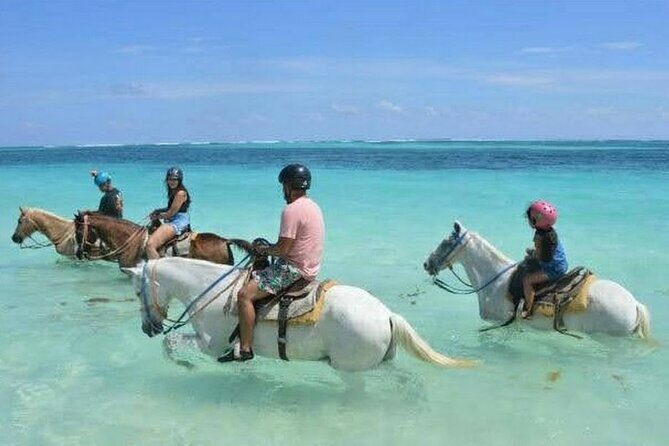 Horse back riding (Punta Cana/Bavaro) - Key Things to Know Before You Go