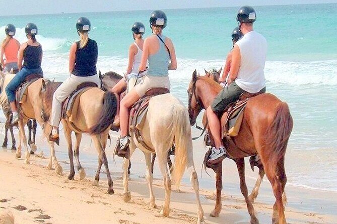 Horse back riding (Punta Cana/Bavaro) - Entering the Story: Bananas, Mango, Tobacco, Coffee, Cacao, and Natural Chocolate