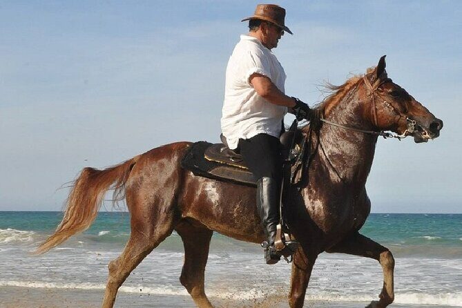 Horse Riding Experience through El Limon Beach - Cattle farms and subtropical wetlands: the route that makes the ride worth it
