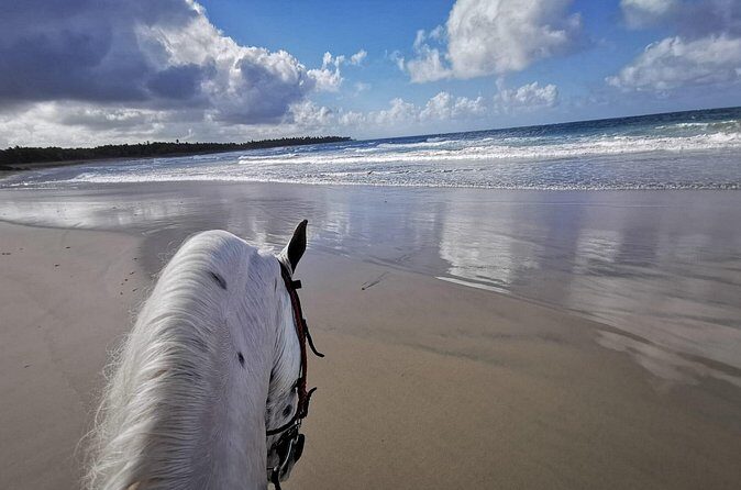Horse Riding Experience through El Limon Beach - Price and value: is $150 per person worth it?