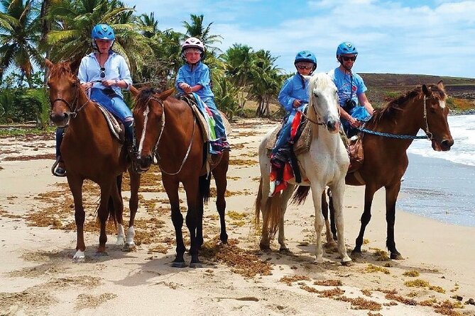 Horseback Riding along the Beach - Quick hits for your Macao Beach horseback ride