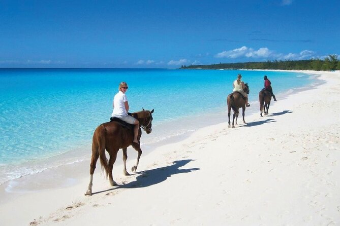 Horseback Riding along the Beach - Punta Cana pickup and air-conditioned comfort (so you start calm)