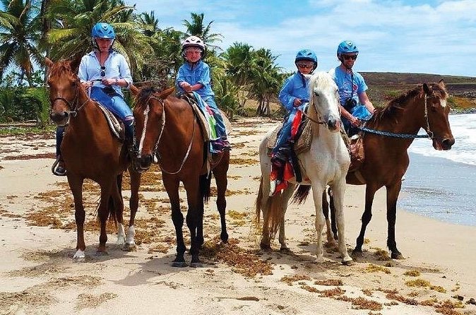 Horseback Riding along the Beach - Safety first: you’re not just handed a horse and hoped for the best