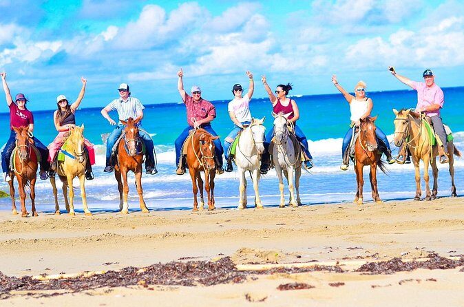Horseback riding and ATV or Buggy with Party Boat with Lunch - Organic Farm Tastings: Coffee, Chocolate, Mamajuana, and Cigars