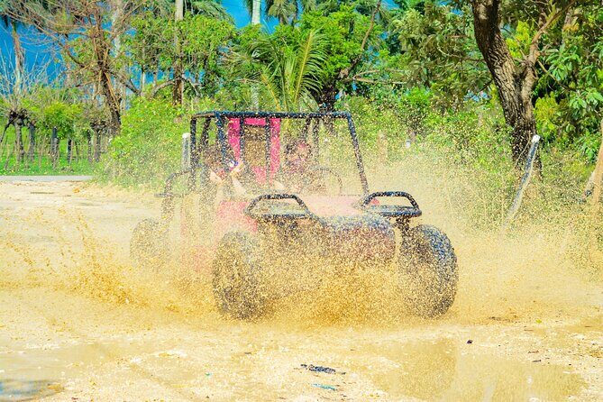 Horseback Riding and Buggy and Macau Cave and Beach Tour - Who This Tour Suits Best (And Who Might Want to Skip It)