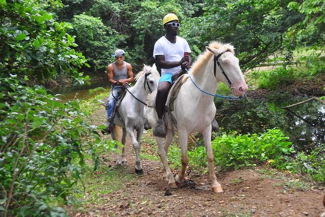Horseback Riding at Macao Beach - The 2.5-hour flow: from safety briefing to sandy shoreline
