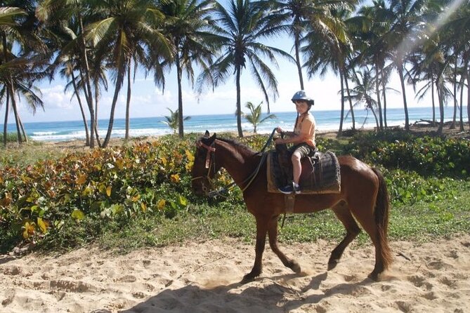Horseback Riding at Macao Beach - What the cigar and mamajuana tastings add to the experience
