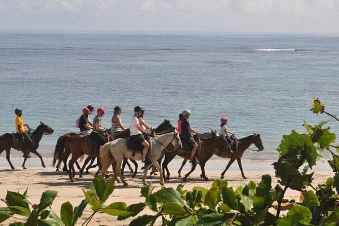 Horseback Riding at Macao Beach - Who should book this tour (and who might skip it)