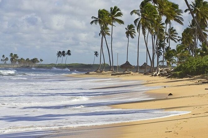 Horseback Riding at Macao Beach - How to make your day smoother in Punta Cana