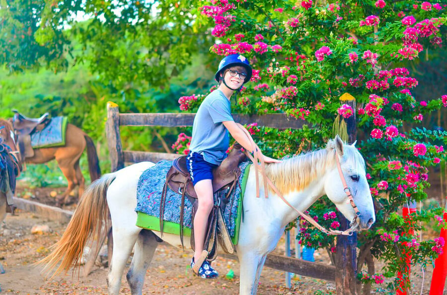 Horseback Riding at Macao Beach and River with Transfers - Timing and Pace: How This Fits Into a Punta Cana Schedule