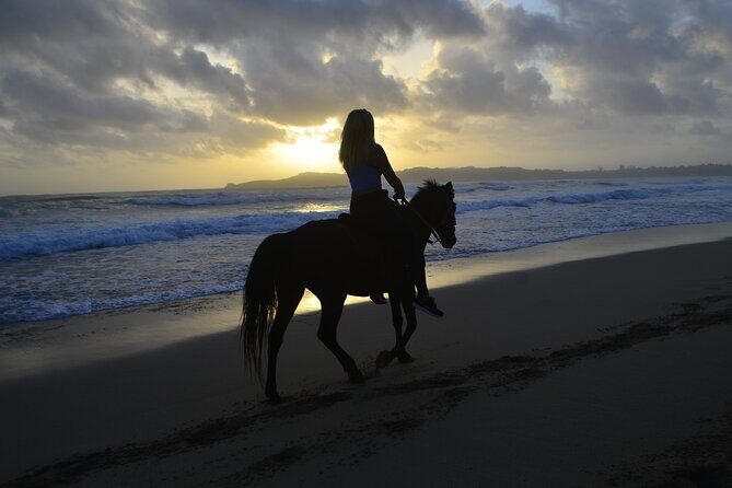Horseback Riding at Sunrise on the Beach of Punta Cana - Key Highlights You’ll Care About