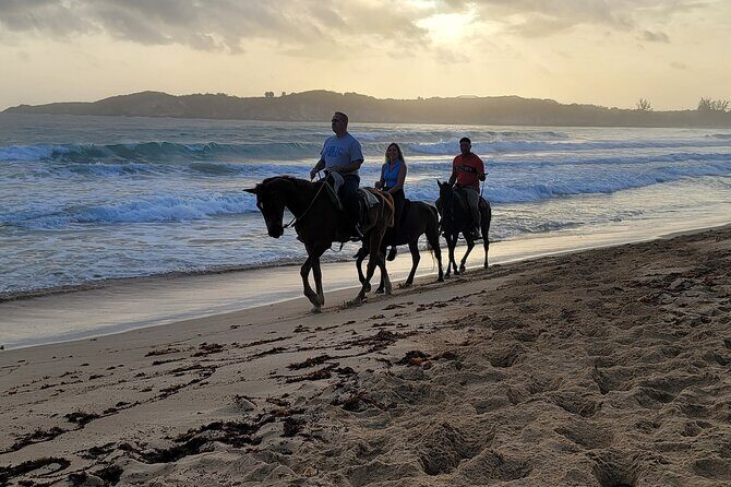 Horseback Riding at Sunrise on the Beach of Punta Cana - Playa Macao at Sunrise: Why This Ride Works