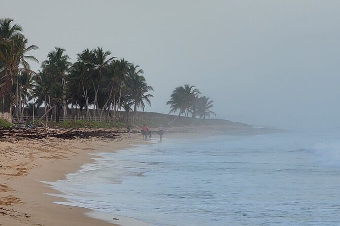 Horseback Riding at Sunrise on the Beach of Punta Cana - Instructor and Comfort: The Role of Jano