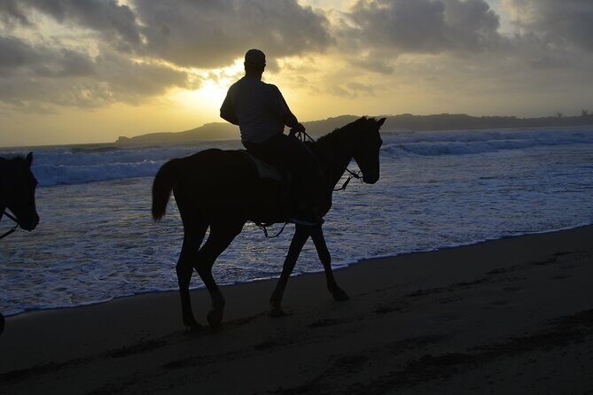 Horseback Riding at Sunrise on the Beach of Punta Cana - Photos at First Light: How to Get Better Results