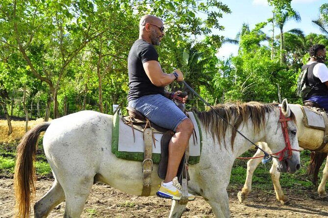 Horseback Riding in the Dominican Jungle - Saona Island by catamaran: the best part is the change of scenery