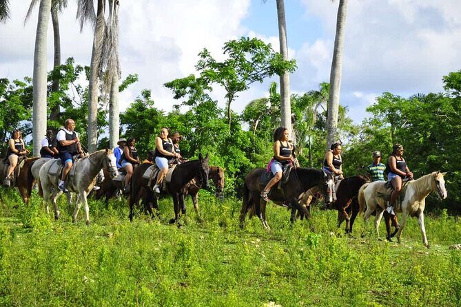 Horseback Riding in the Dominican Jungle - Timing and logistics: why the trip is about 4 hours, but may feel longer