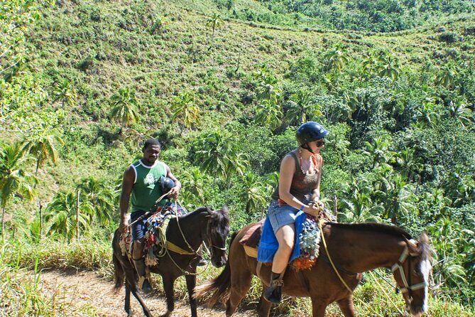 Horseback Riding in the Dominican Jungle - Price check: is $69.99 a smart deal?