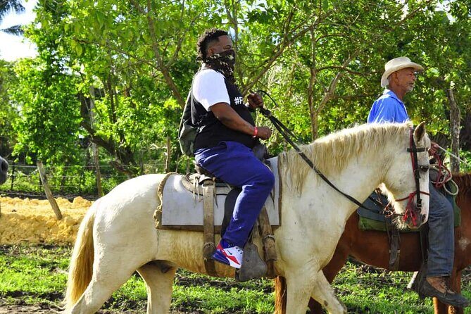 Horseback Riding in the Dominican Jungle - Who should book this tour?