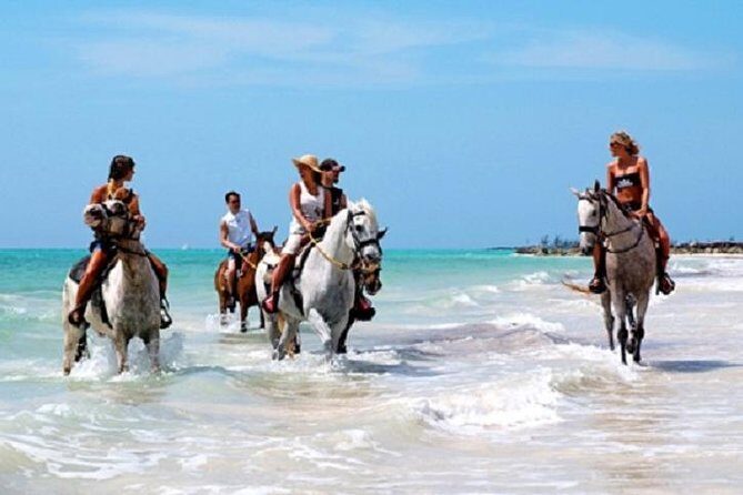 Horseback Riding on the Beach in Punta Cana (One Hour) - The “one hour” ride: forest trail first, beach after