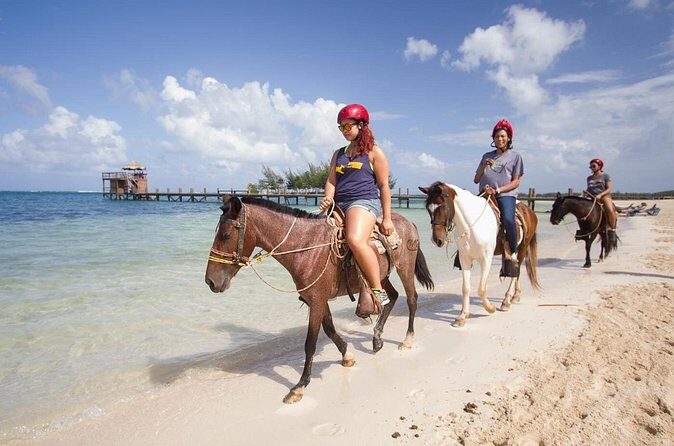 Horseback Riding on the Beach in Punta Cana (One Hour) - Optional swim time: a quick beach break from the saddle