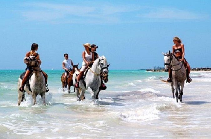 Horseback Riding on the Beach in Punta Cana (One Hour) - What’s included (and what you’ll pay for out of pocket)