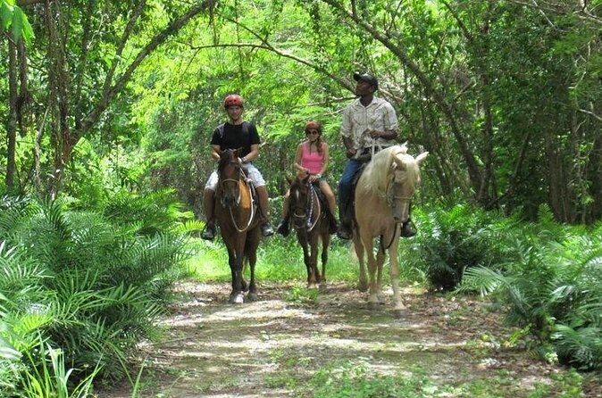 Horseback Riding on the Beach in Punta Cana (One Hour) - A note on pickup reliability (based on real complaints)
