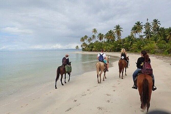 Horseback Riding on the Beaches of Punta Cana - The Guide Factor: Horse Matching That Matters