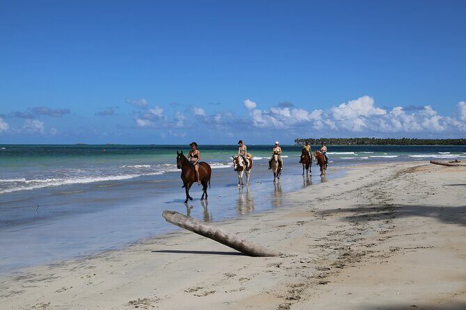 Horseback Riding on the Beaches of Punta Cana - Pace Options: When You’ll Jog or Gallop