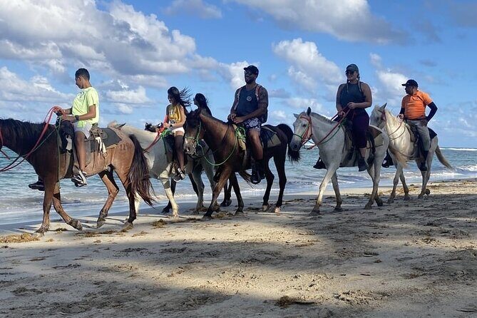 Horseback Riding on the Beaches of Punta Cana - Value Check: Is $40 Worth It?